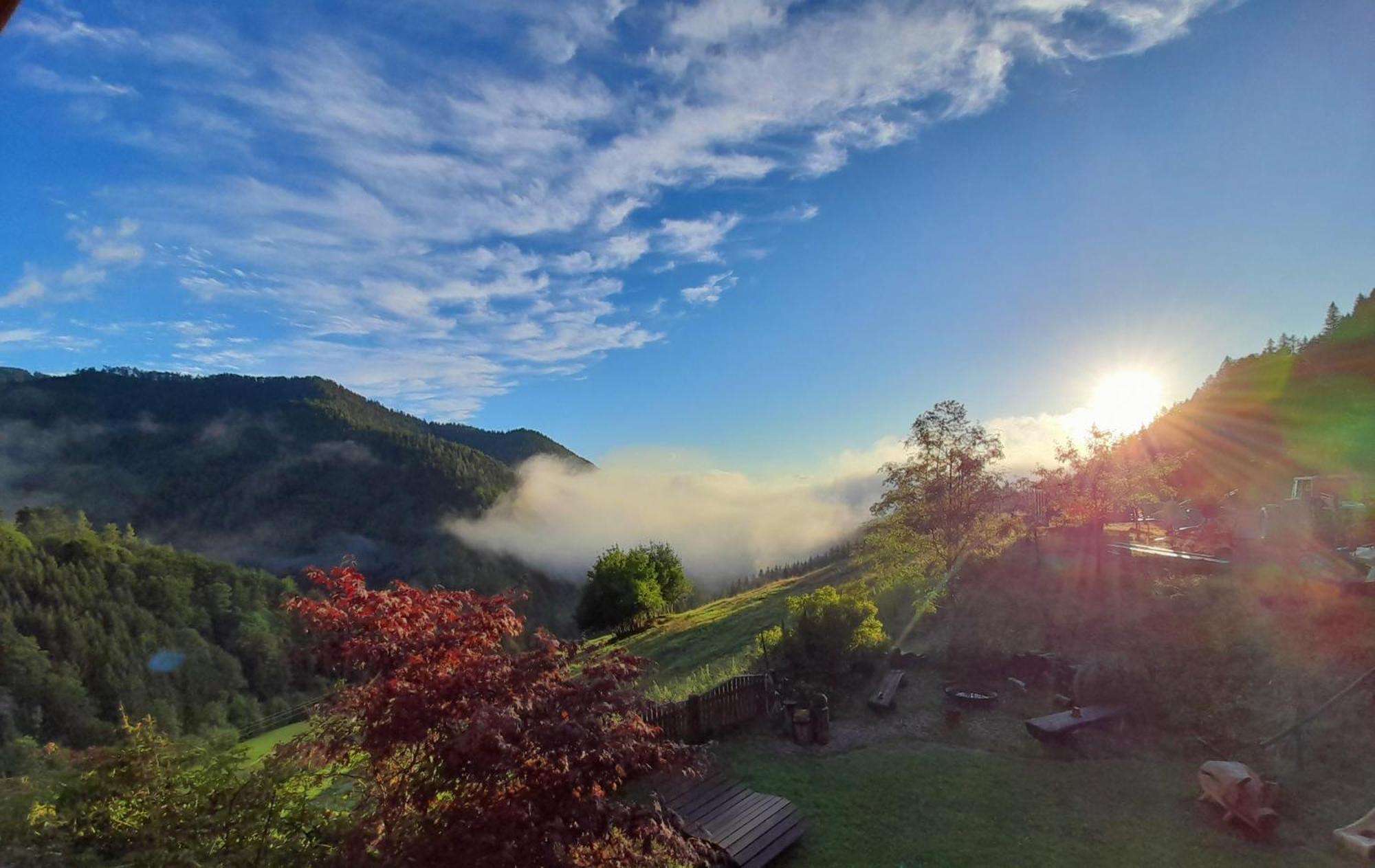 Biobauernhof Lacken Farm stay