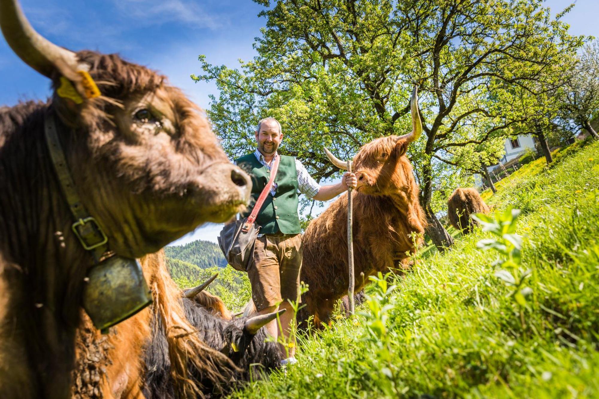 Biobauernhof Lacken Farm stay Strohmarkt