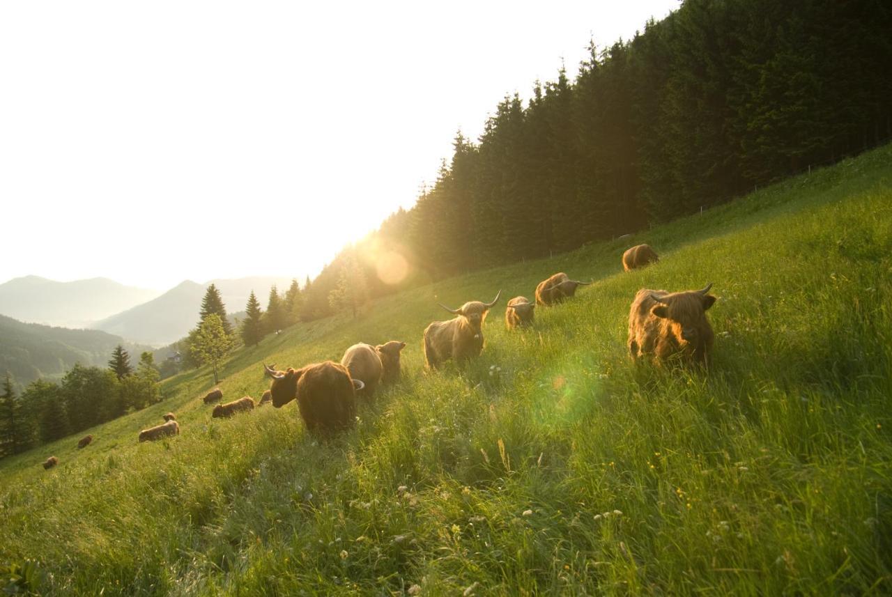 Farm stay Biobauernhof Lacken Strohmarkt